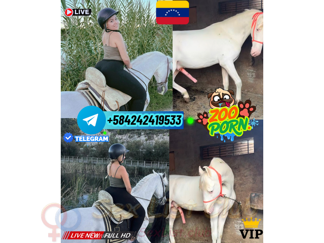 PUTA TELEGRAM FOLLADA POR PERROS Y CABALLOS PORNO ZOO SEX ONLINE