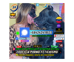 ZOOFILIA PORNO TELEGRAM GRUPO PUBLICO DISPONIBLE LAS 24 HORAS