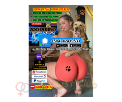 CHICA SEXO CON PERRO PERROS ZOO SEX REAL