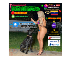 ZOOFILIA PORNO REAL PRIVADO SERVICIO VIRTUAL