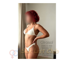 Girasol 18 años una mezcla perfecta entre dulz